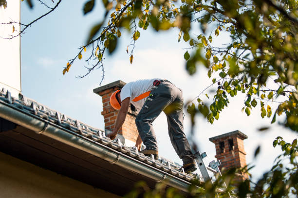  South Monroe, MI Roofing Contractor Pros