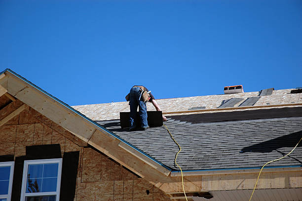 Best Slate Roofing Contractor  in South Monroe, MI