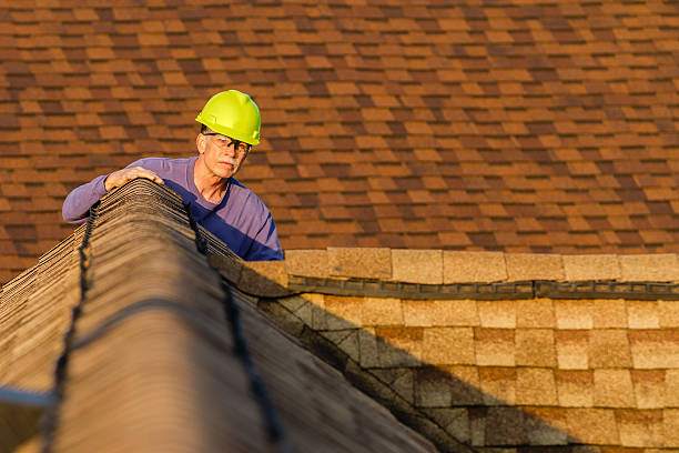 Best Roof Waterproofing Services  in South Monroe, MI