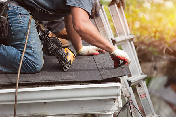 Best Best Roofing Contractors  in South Monroe, MI