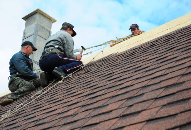 Quick and Trustworthy Emergency Roof Repair Services in South Monroe, MI